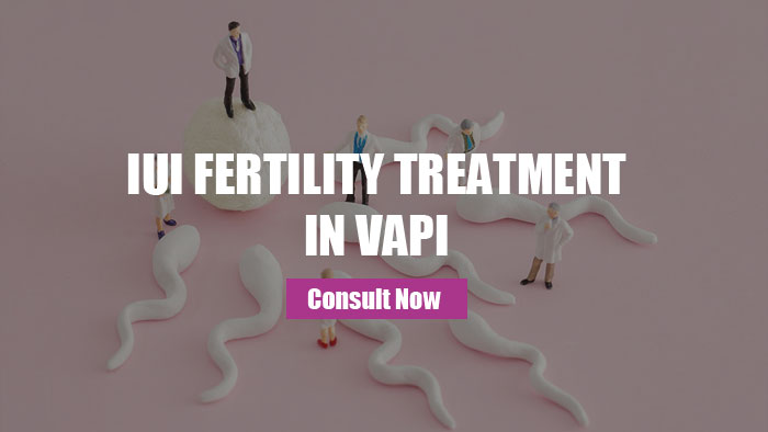 IUI Fertility Treatment in Vapi