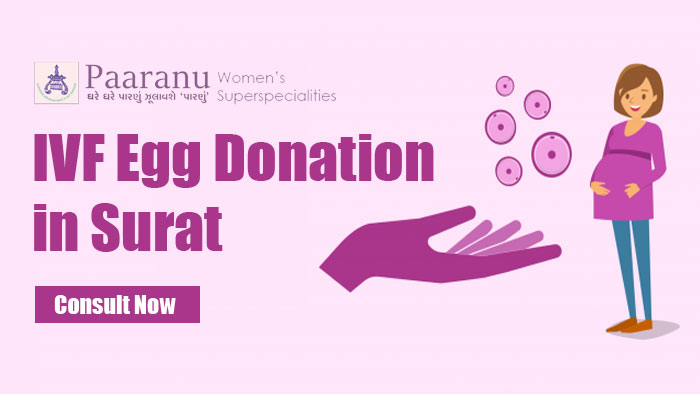 IVF Egg Donation in Surat