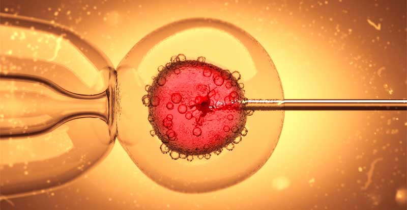 Key Aspects Impacting Progress and Failures of the IVF
