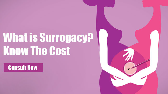 What is Surrogacy and Its Cost in Surat?