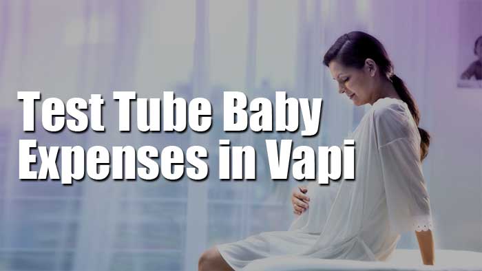 Test Tube Baby Expenses in Vapi